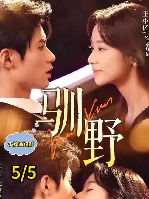 山河记事簿 古装权谋剧全集免费看